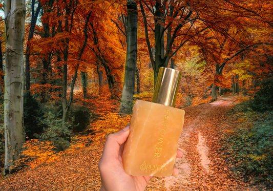 Autumn Equinox: Ground Your Spirit with Crystal Perfumes for the Season